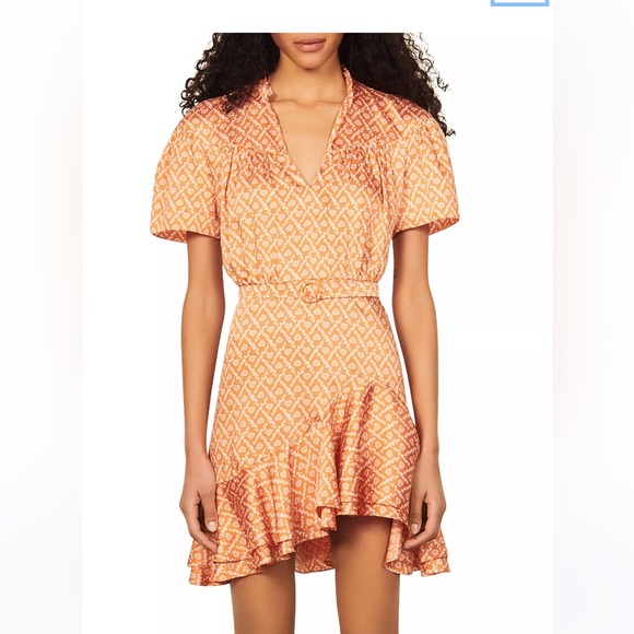 Suzen Asymmetric Ruffle Mini Dress - Picture 3 of 5